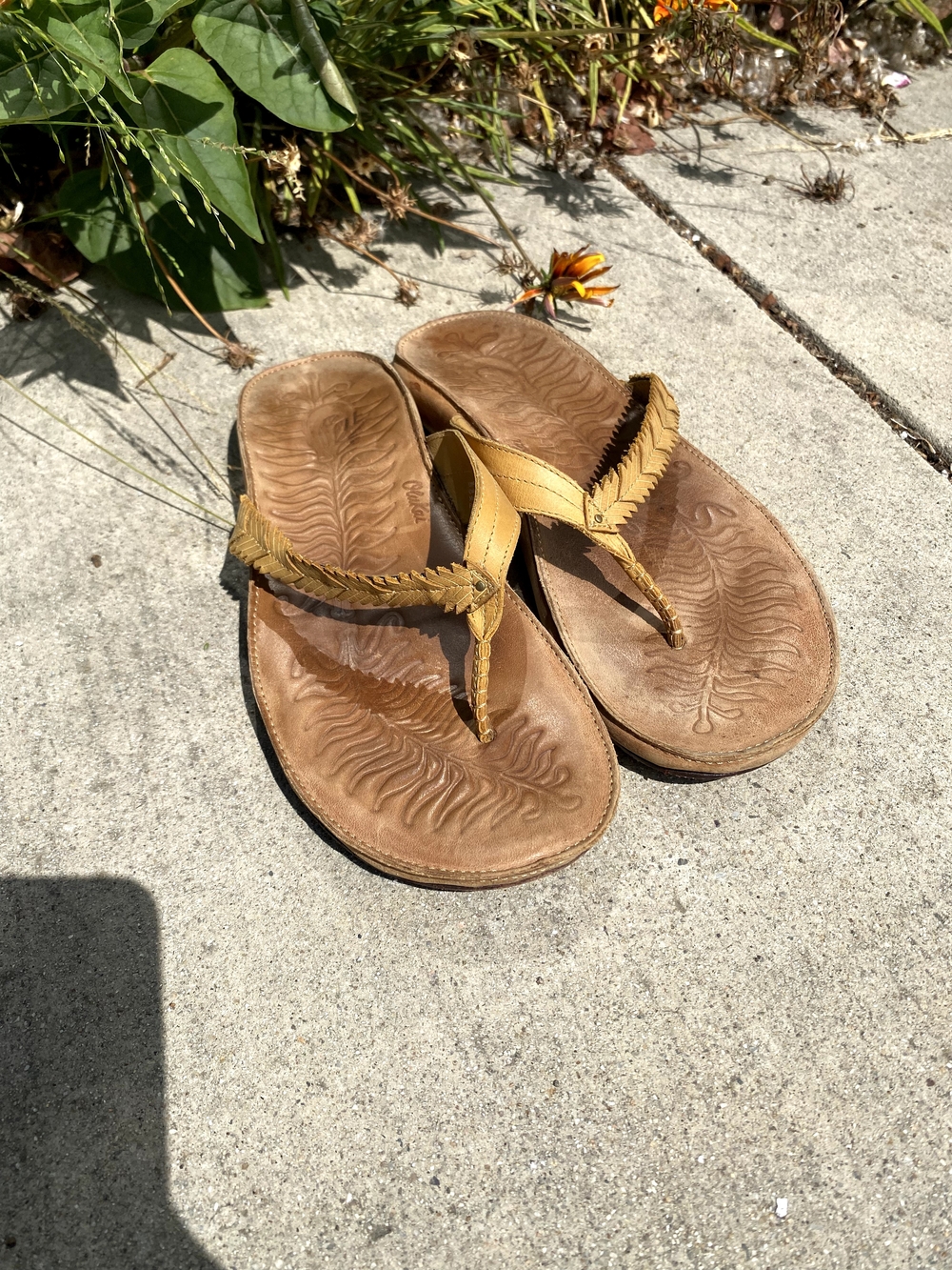 OluKai Women's Tan Braided Leather Thong Sandals